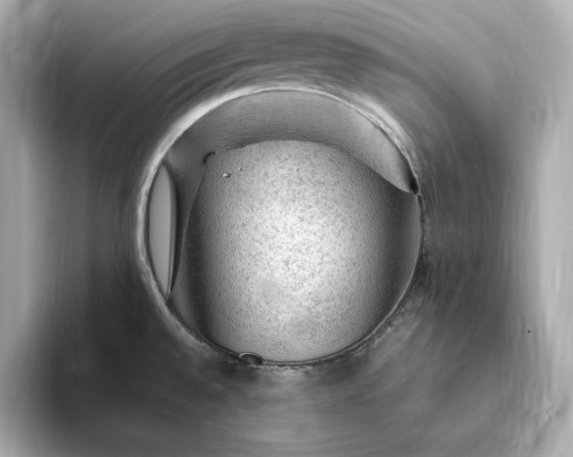 X0000093431528200710261009