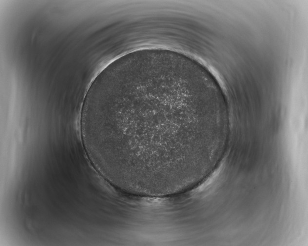 X0000093431529200710261009