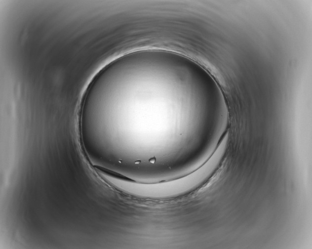 X0000093431530200710261009