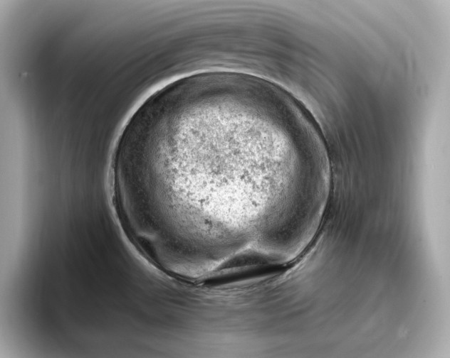 X0000093431531200710261009