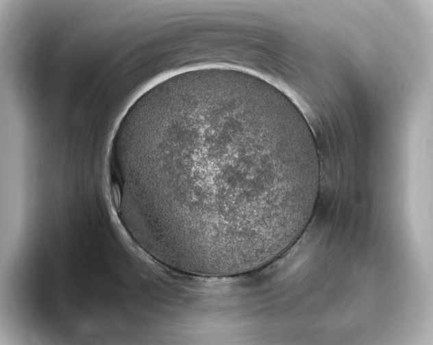 X0000093431534200710261009