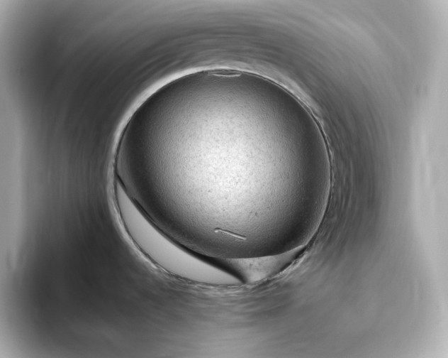 X0000093431536200710261009