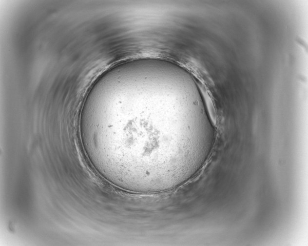 X0000093430001200711021044