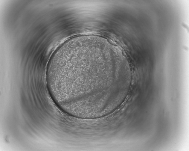 X0000093430002200711021043