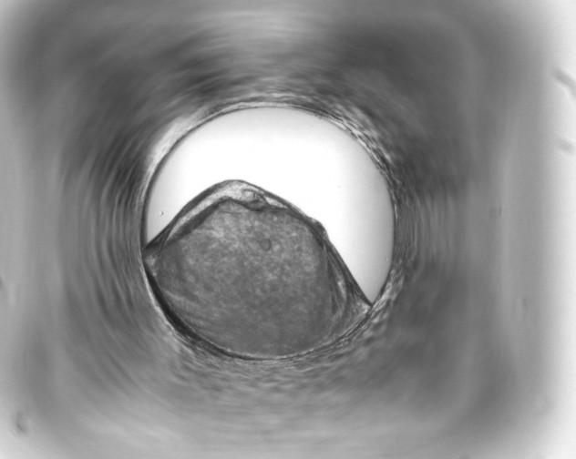 X0000093430003200711021043