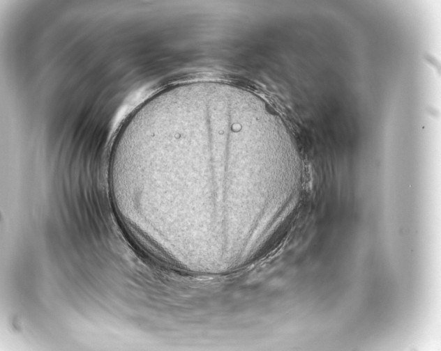 X0000093430004200711021043