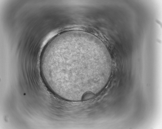 X0000093430006200711021043