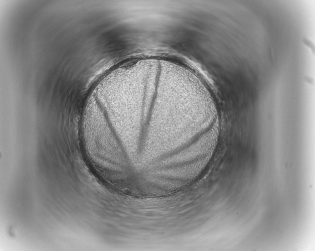 X0000093430010200711021043