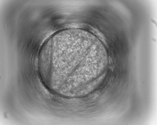 X0000093430012200711021043