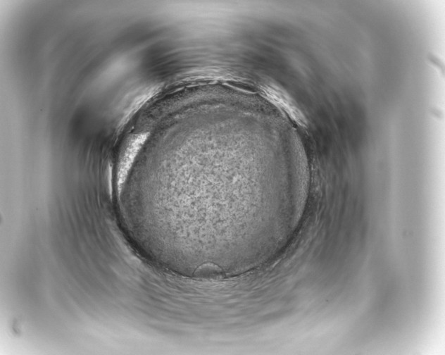 X0000093430014200711021043