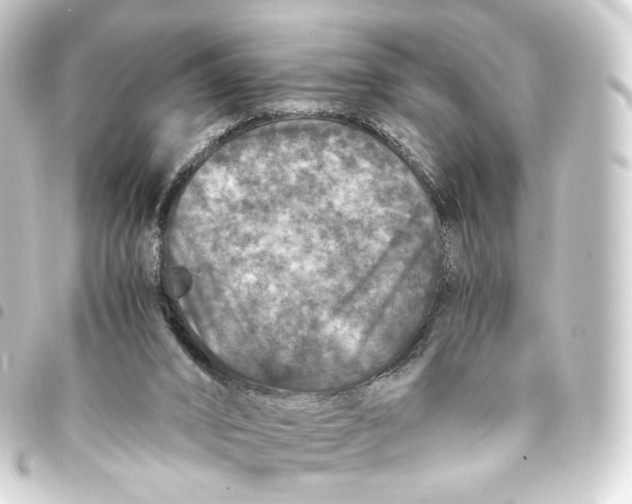 X0000093430016200711021043