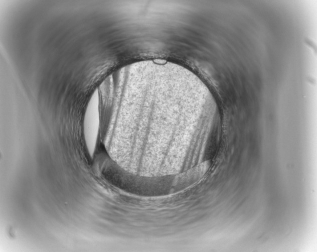 X0000093430017200711021043