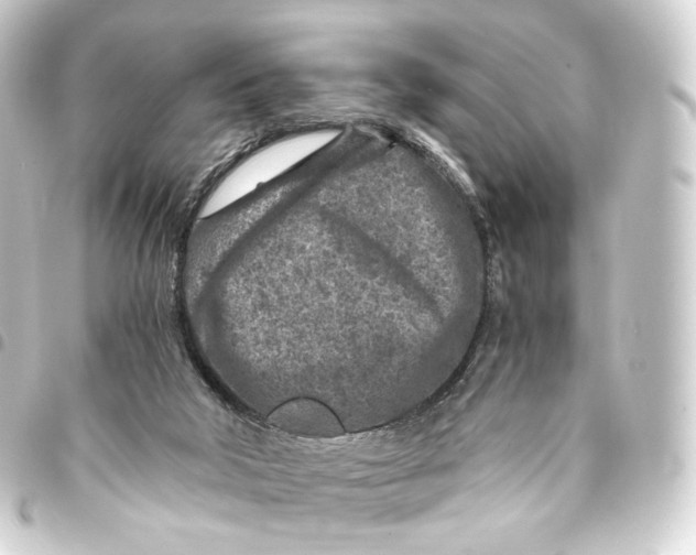 X0000093430018200711021043