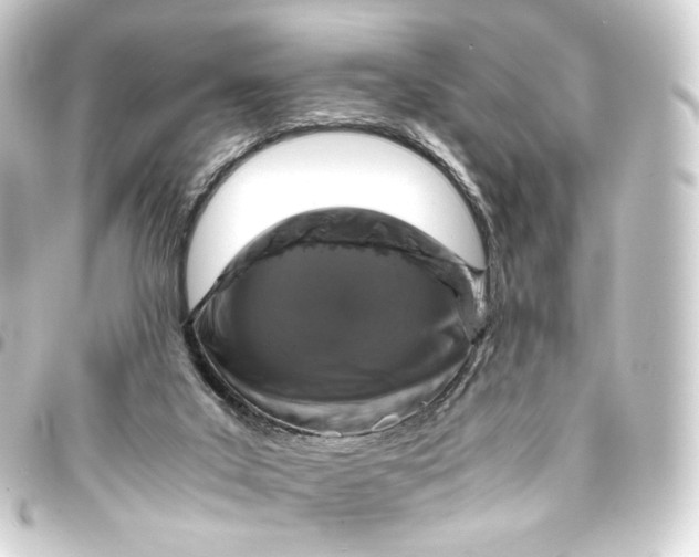 X0000093430019200711021043