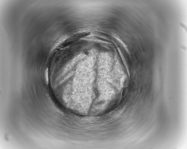 X0000093430020200711021043