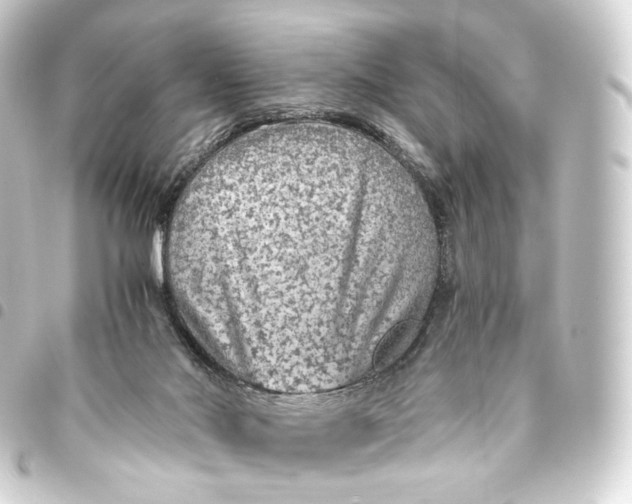 X0000093430022200711021043