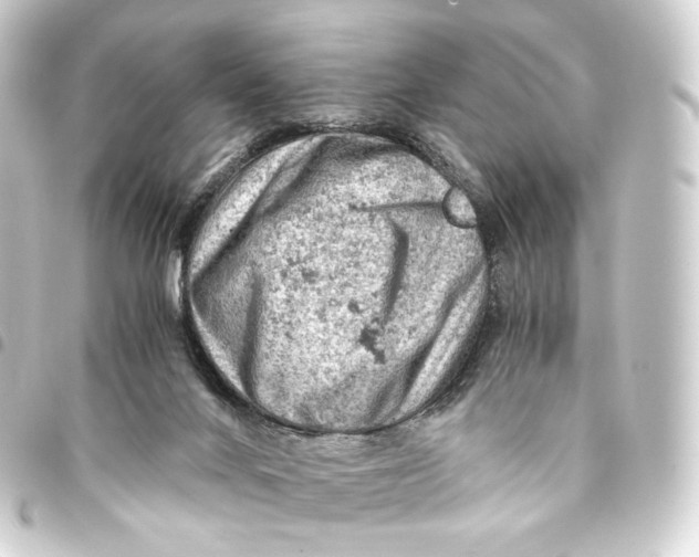 X0000093430024200711021043