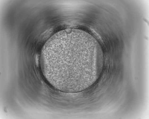 X0000093430026200711021043