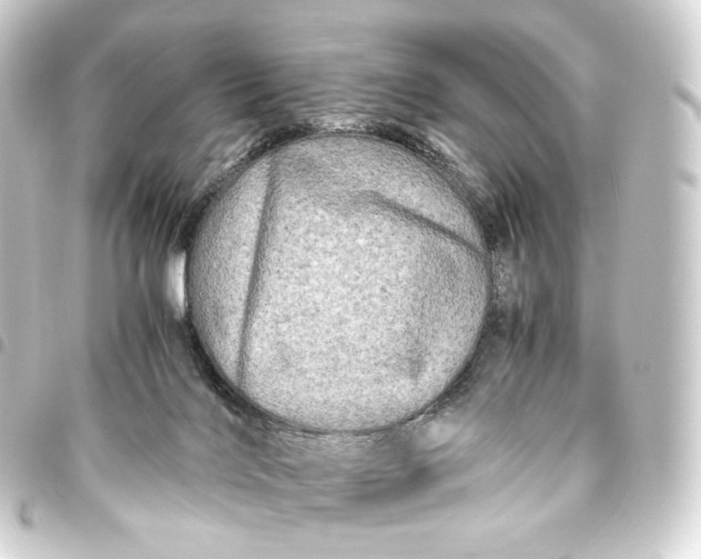 X0000093430028200711021043