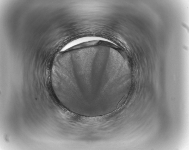 X0000093430029200711021043