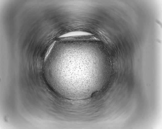 X0000093430030200711021043