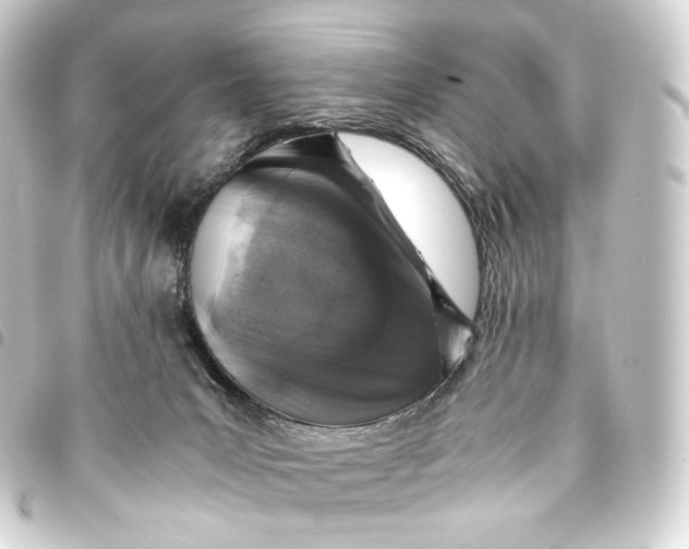 X0000093430031200711021043