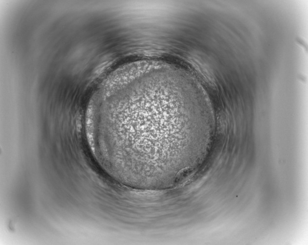 X0000093430032200711021043