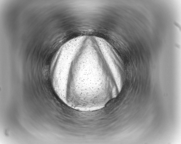 X0000093430034200711021043