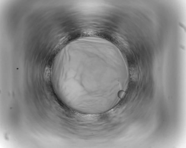 X0000093430036200711021043