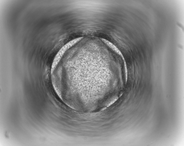 X0000093430038200711021043