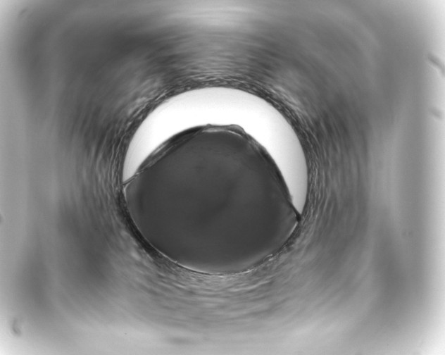 X0000093430039200711021043