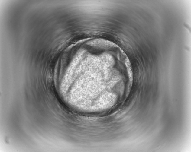 X0000093430040200711021043