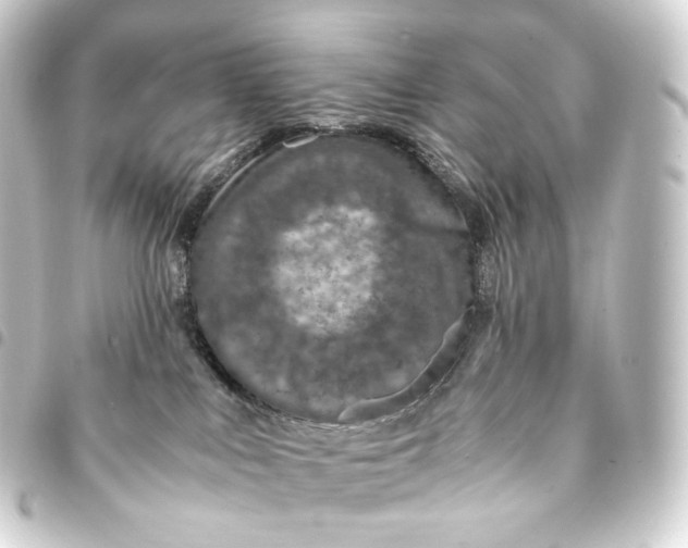 X0000093430043200711021043