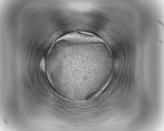 X0000093430046200711021043