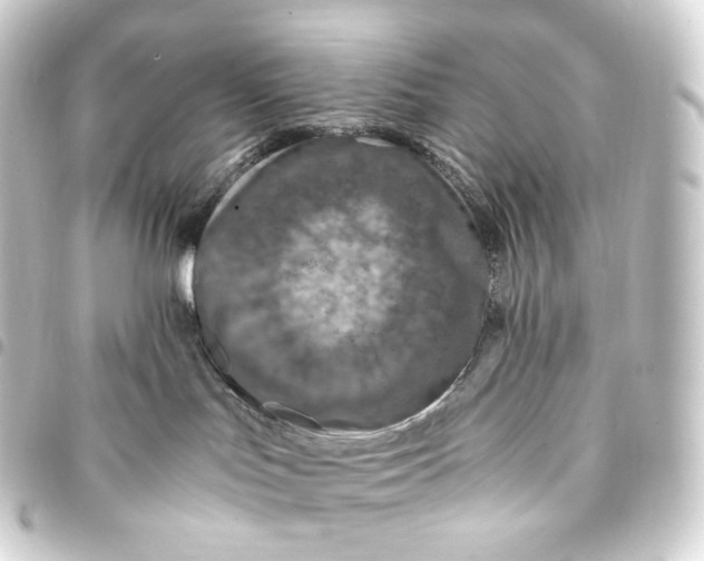 X0000093430047200711021043