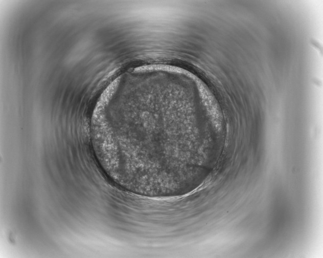 X0000093430048200711021043