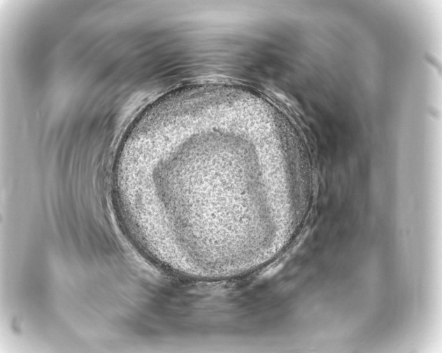 X0000093430049200711021042