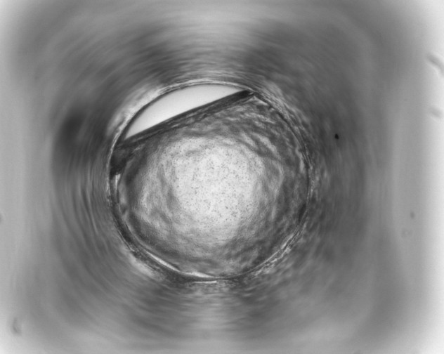 X0000093430050200711021042