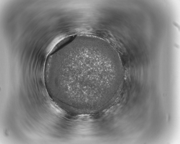 X0000093430052200711021042