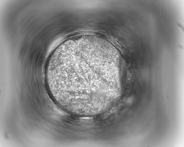 X0000093430053200711021042