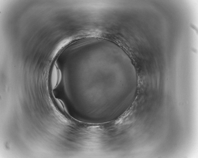 X0000093430054200711021042