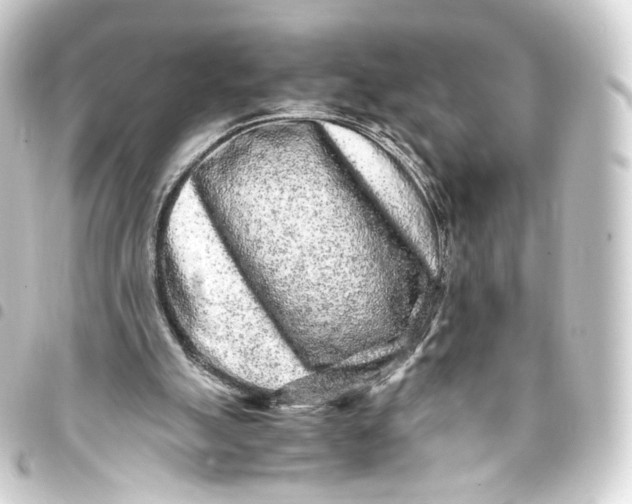 X0000093430055200711021042