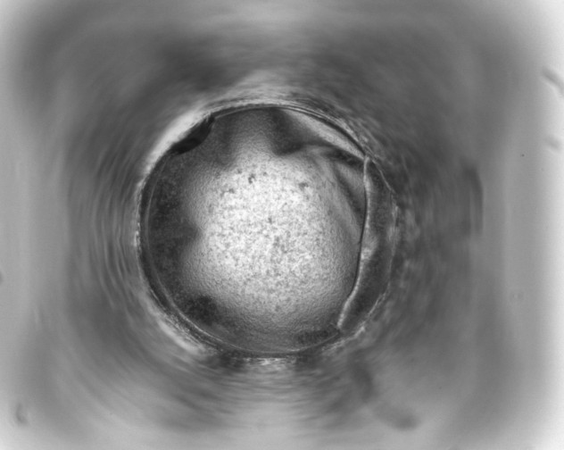 X0000093430056200711021042