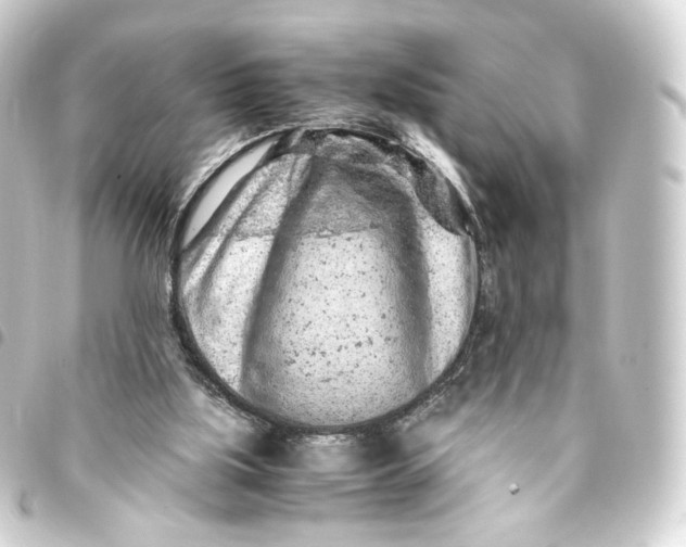 X0000093430059200711021042