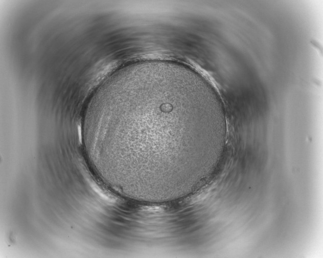 X0000093430061200711021043