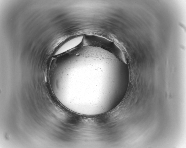 X0000093430062200711021043