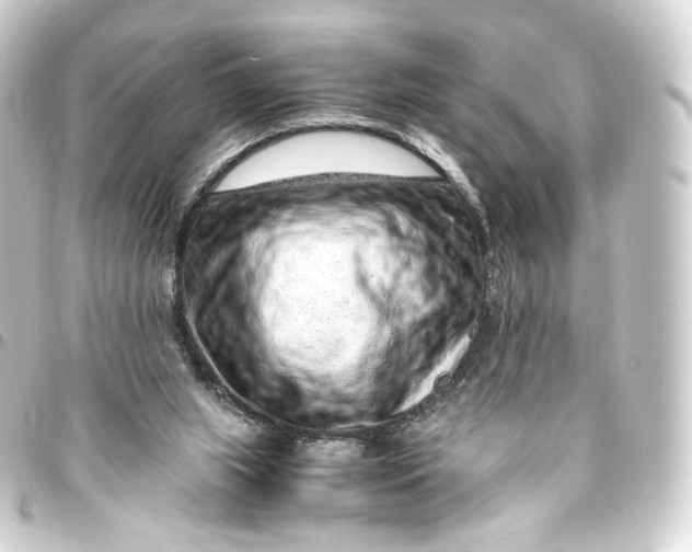 X0000093430063200711021043