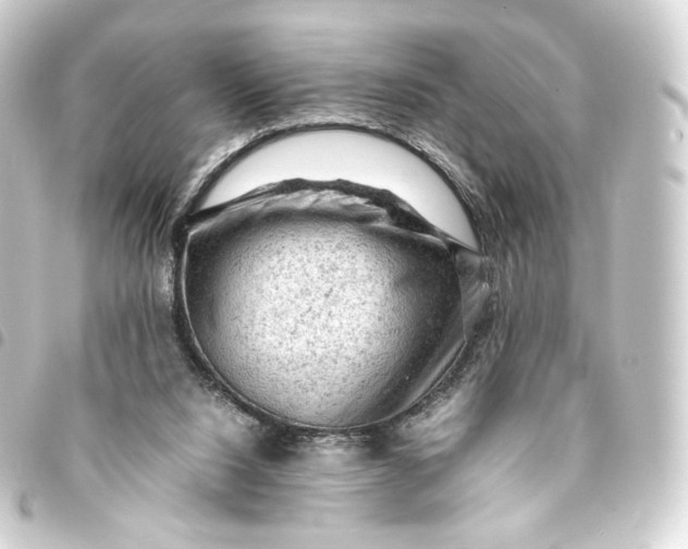 X0000093430064200711021043