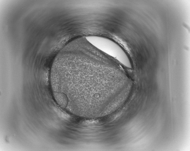 X0000093430065200711021043