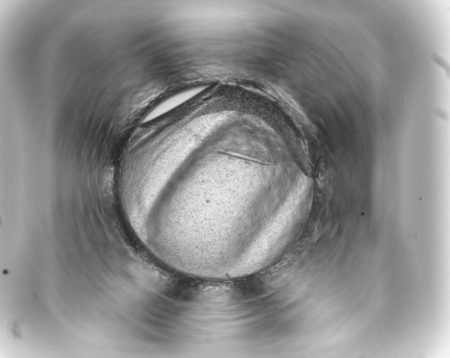 X0000093430066200711021043